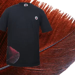 Black Feather