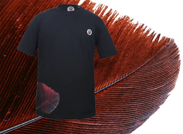 Black Feather